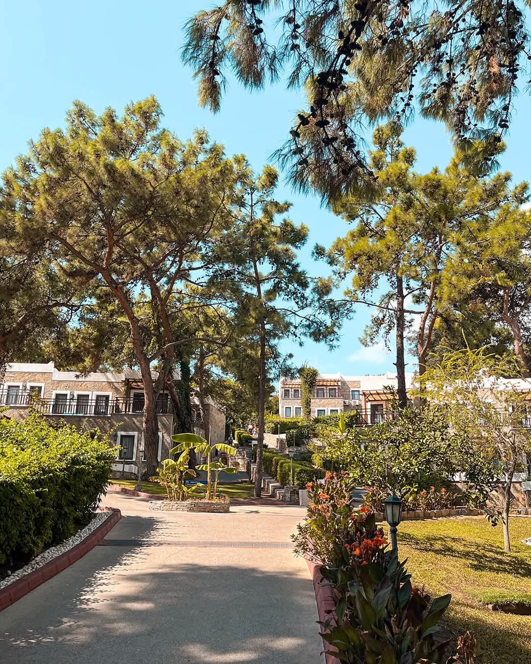 Bodrum Park Resort gallery 5