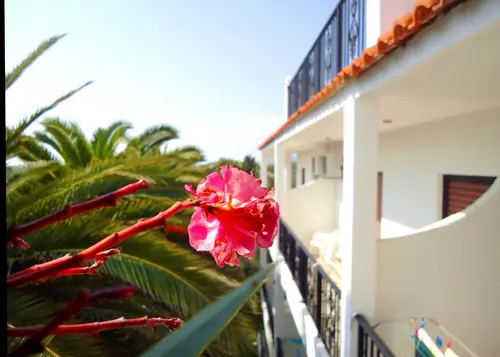 Bruskos Hotel & Suites gallery 5