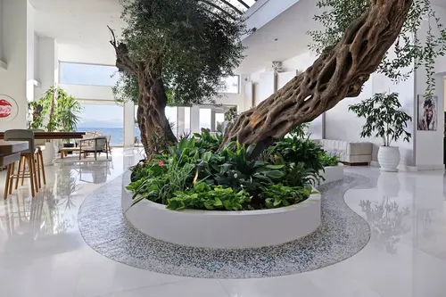 Domes Miramare, a Luxury Collection Resort, Corfu - Adults Only gallery 5