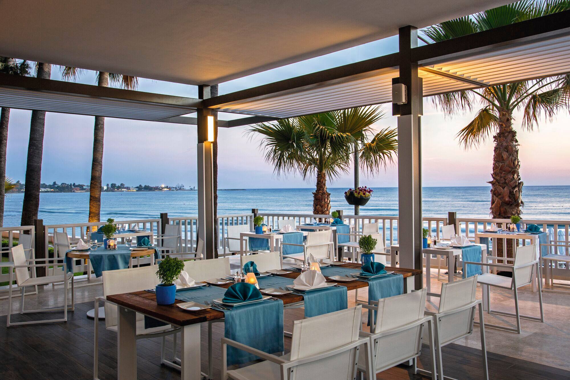 Acanthus Cennet Barut Collection gallery 3